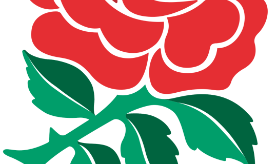 England vs South Africa, Rugby World Cup 2019 final