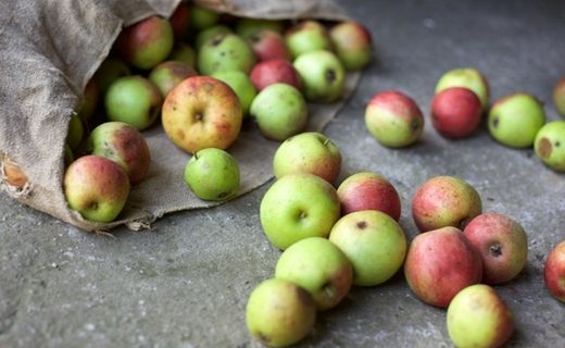 Wassailing Events across Somerset in January 2020